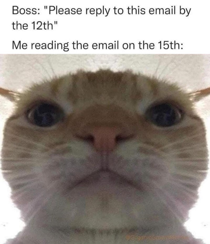 Boss: "Please reply to this email by the 12th" Me reading the email on the 15th: