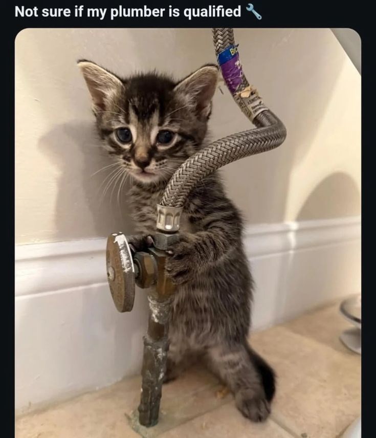 Not sure if my plumber is qualified