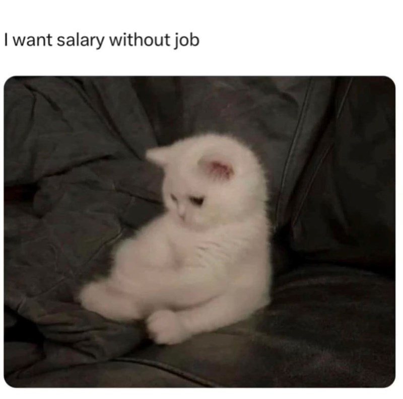 I want salary without job