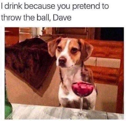 I drink because you pretend to throw the ball, Dave