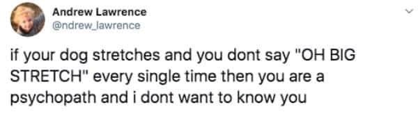 Andrew Lawrence @ndrew_lawrence if your dog stretches and you dont say "OH BIG STRETCH" every single time then you are a psychopath and i dont want to know you <