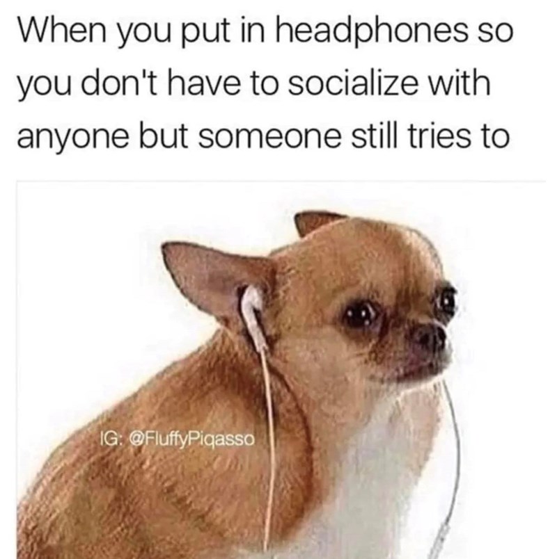 When you put in headphones so you don't have to socialize with anyone but someone still tries to IG: @FluffyPiqasso