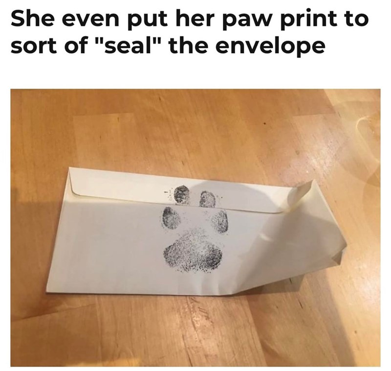 She even put her paw print to sort of "seal" the envelope