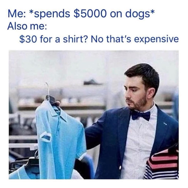 Me: *spends $5000 on dogs* Also me: $30 for a shirt? No that's expensive