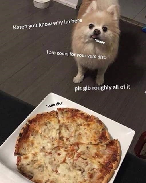Karen you know why im here *blypp I am come for your yum disc *yum disc pls gib roughly all of it