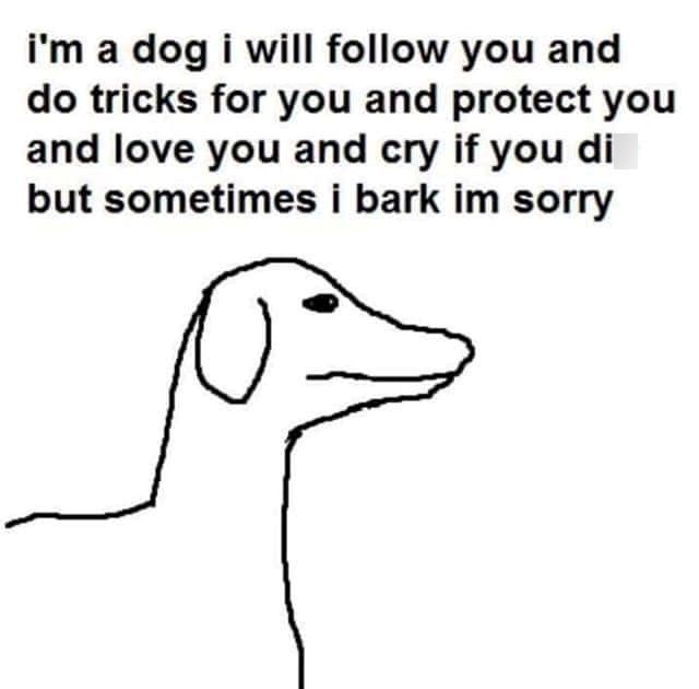 i'm a dog i will follow you and do tricks for you and protect you and love you and cry if you di but sometimes i bark im sorry