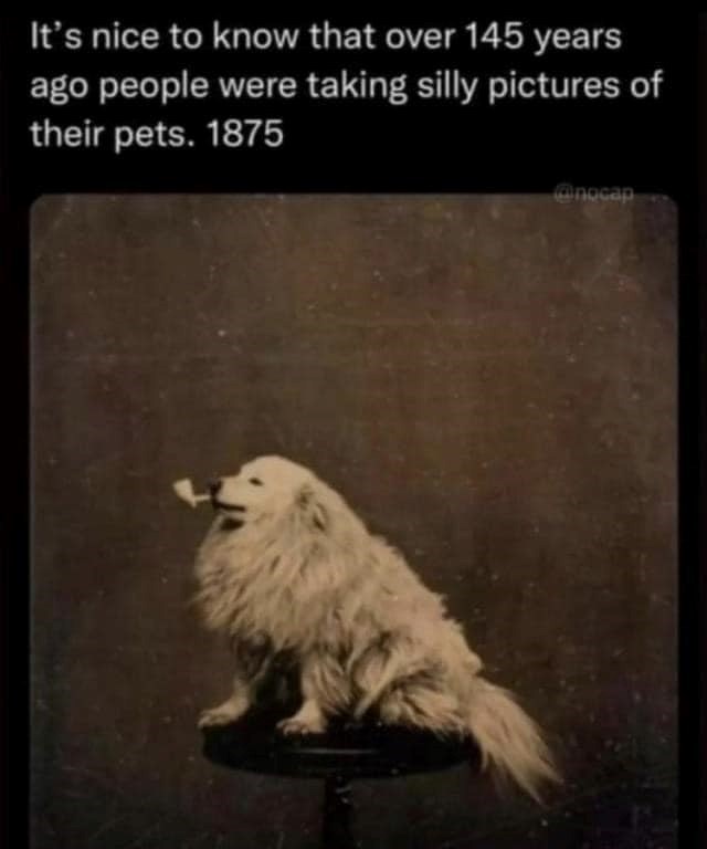 It's nice to know that over 145 years ago people were taking silly pictures of their pets. 1875 @посар