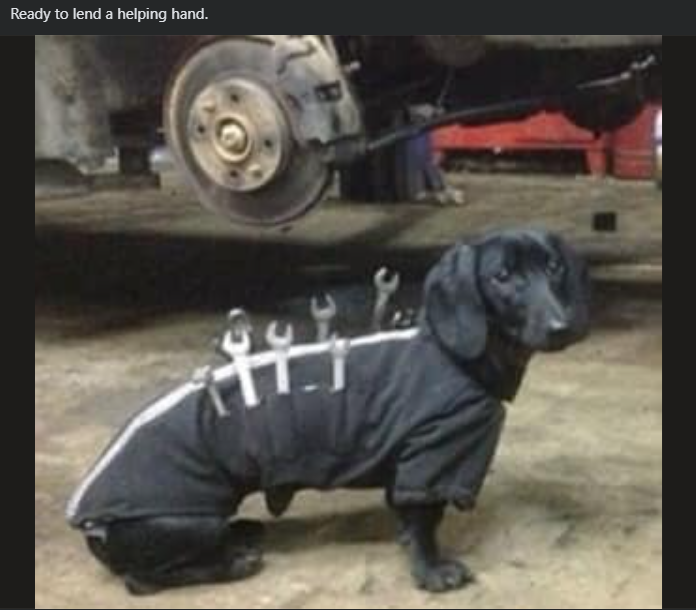 Ready to lend a helping hand.