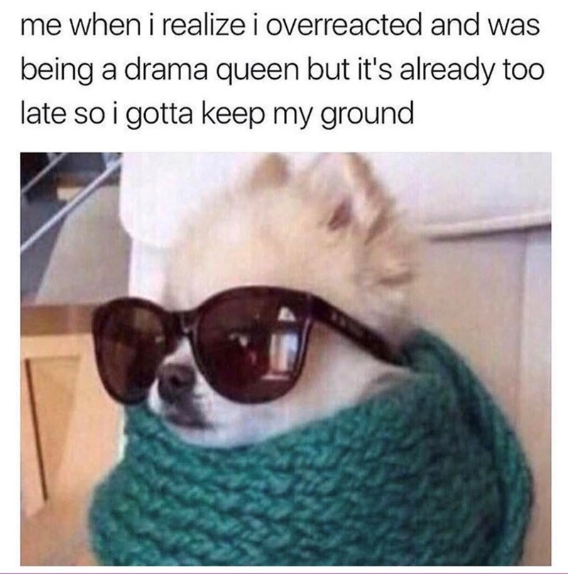 me when i realize i overreacted and was being a drama queen but it's already too late so i gotta keep my ground