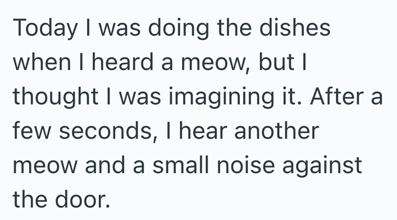 Today I was doing the dishes when I heard a meow, but I thought I was imagining it. After a few seconds, I hear another meow and a small noise against the door.