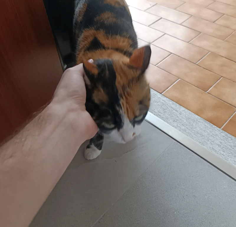 Cheezburger Image 10610728448