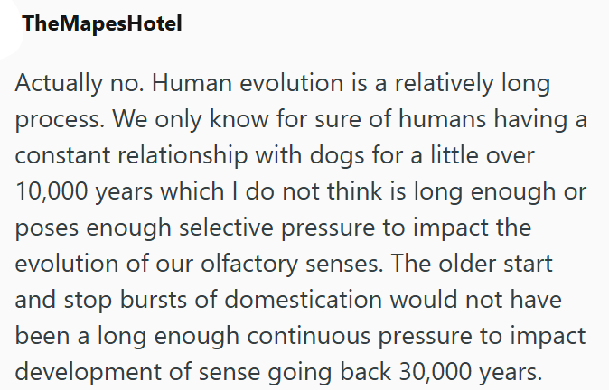 TheMapesHotel Actually no. Human evolution is a relatively long process. We only know for sure of humans having a constant relationship with dogs for a little over 10,000 years which I do not think is long enough or poses enough selective pressure to impact the evolution of our olfactory senses. The older start and stop bursts of domestication would not have been a long enough continuous pressure to impact development of sense going back 30,000 years.