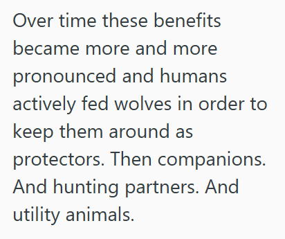 Over time these benefits became more and more pronounced and humans actively fed wolves in order to keep them around as protectors. Then companions. And hunting partners. And utility animals.