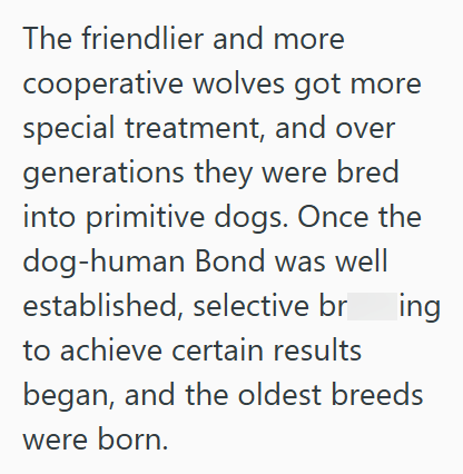 The friendlier and more cooperative wolves got more special treatment, and over generations they were bred into primitive dogs. Once the dog-human Bond was well established, selective br ing to achieve certain results began, and the oldest breeds were born.
