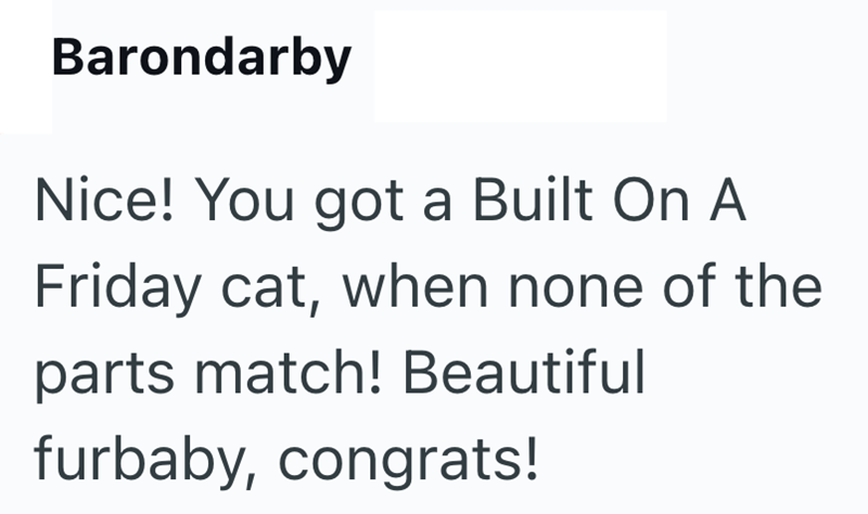 Barondarby Nice! You got a Built On A Friday cat, when none of the parts match! Beautiful furbaby, congrats!