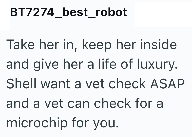 BT7274_best_robot Take her in, keep her inside and give her a life of luxury. Shell want a vet check ASAP and a vet can check for a microchip for you.