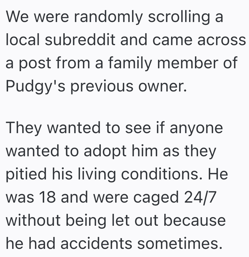 We were randomly scrolling a local subreddit and came across a post from a family member of Pudgy's previous owner. They wanted to see if anyone wanted to adopt him as they pitied his living conditions. He was 18 and were caged 24/7 without being let out because he had accidents sometimes.