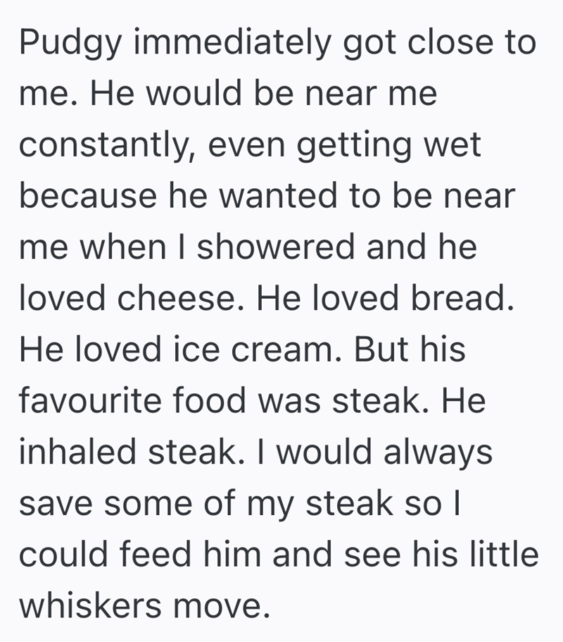 Pudgy immediately got close to me. He would be near me constantly, even getting wet because he wanted to be near me when I showered and he loved cheese. He loved bread. He loved ice cream. But his favourite food was steak. He inhaled steak. I would always save some of my steak so I could feed him and see his little whiskers move.