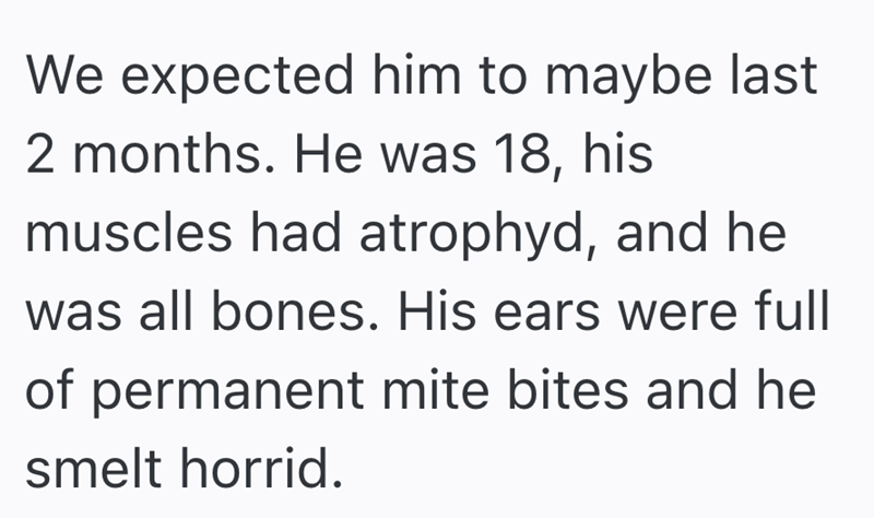 We expected him to maybe last 2 months. He was 18, his muscles had atrophyd, and he was all bones. His ears were full of permanent mite bites and he smelt horrid.