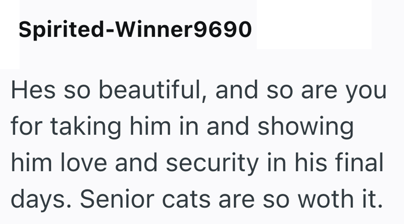 Spirited-Winner9690 Hes so beautiful, and so are you for taking him in and showing him love and security in his final days. Senior cats are so woth it.