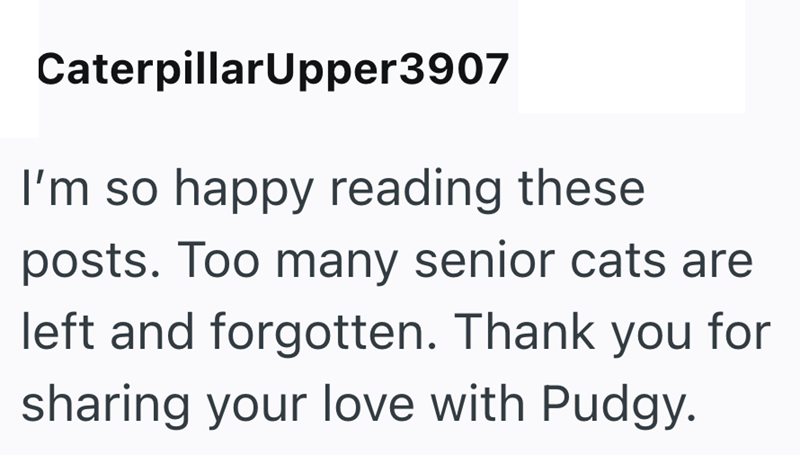 CaterpillarUpper3907 I'm so happy reading these posts. Too many senior cats are left and forgotten. Thank you for sharing your love with Pudgy.