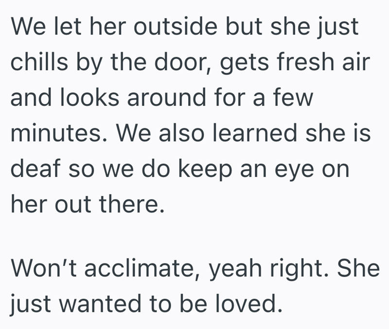 We let her outside but she just chills by the door, gets fresh air and looks around for a few minutes. We also learned she is deaf so we do keep an eye on her out there. Won't acclimate, yeah right. She just wanted to be loved.