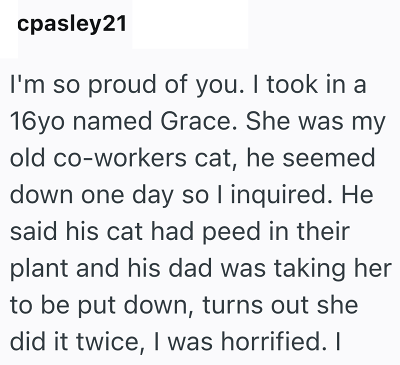 cpasley21 I'm so proud of you. I took in a 16yo named Grace. She was my old co-workers cat, he seemed down one day so I inquired. He said his cat had peed in their plant and his dad was taking her to be put down, turns out she did it twice, I was horrified. I