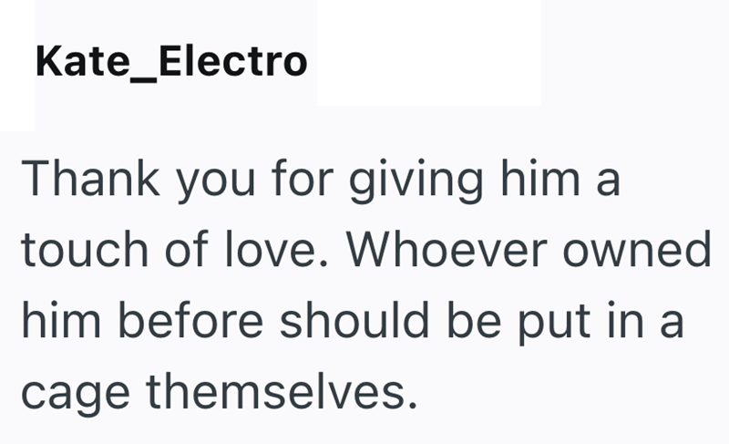 Kate_Electro Thank you for giving him a touch of love. Whoever owned him before should be put in a cage themselves.