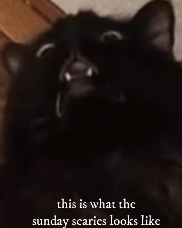 this is what the sunday scaries looks like