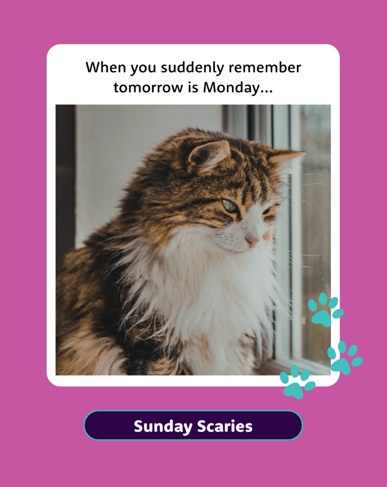 When you suddenly remember tomorrow is Monday... Sunday Scaries