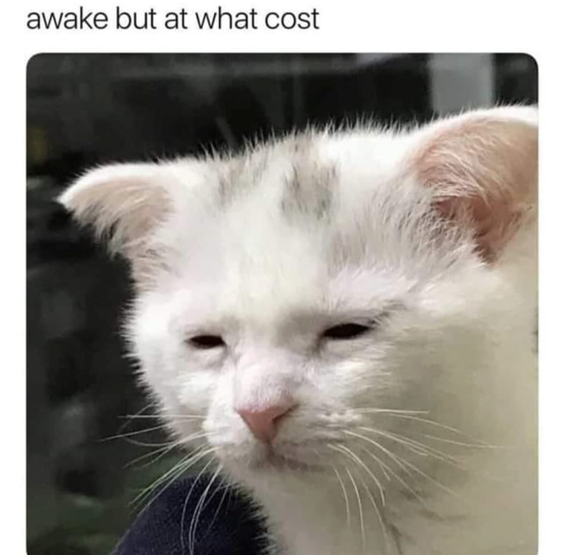 awake but at what cost