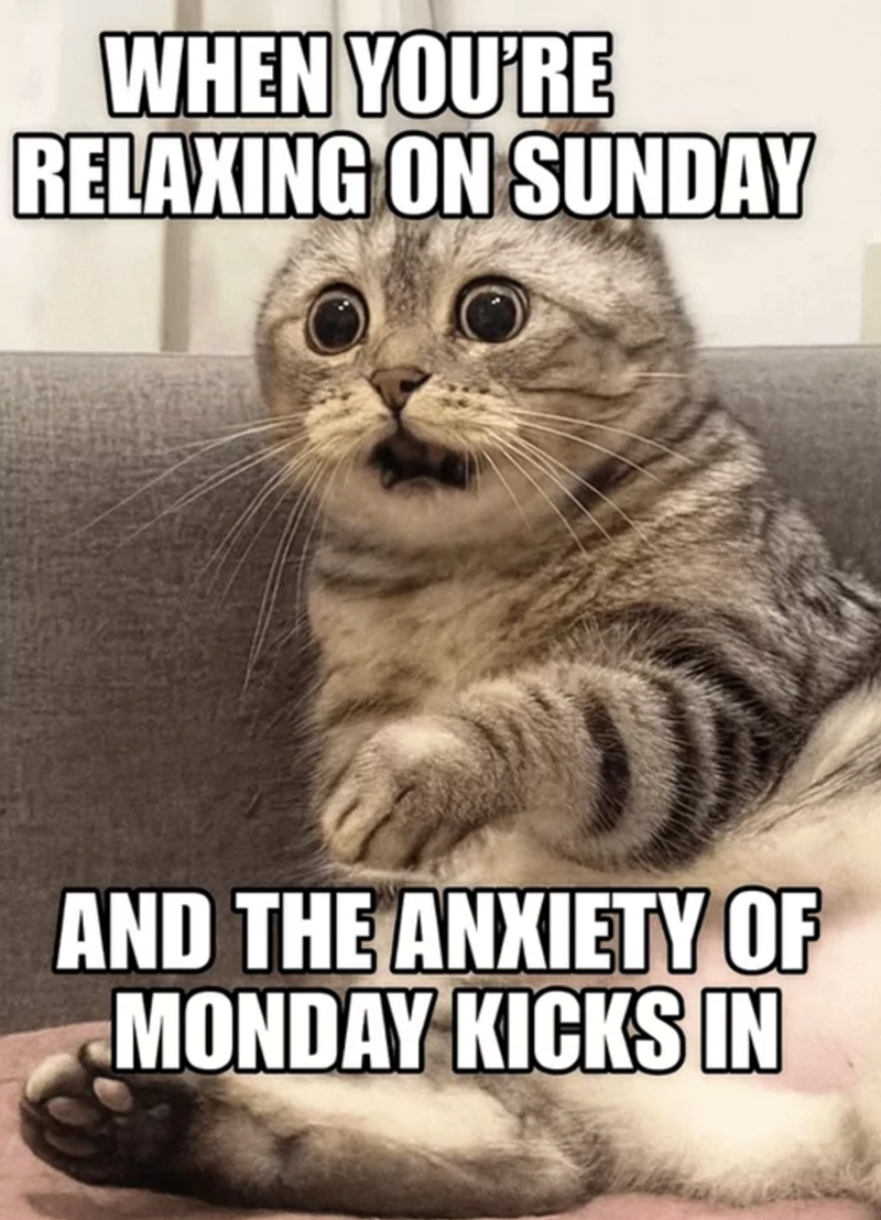 WHEN YOU'RE RELAXING ON SUNDAY D AND THE ANXIETY OF MONDAY KICKS IN