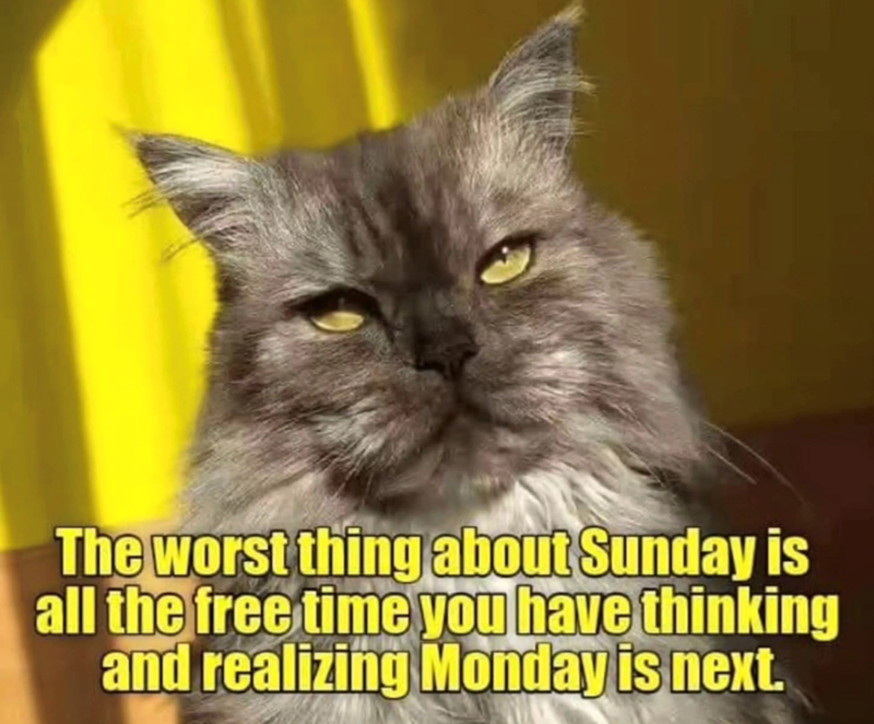 The worst thing about Sunday is all the free time you have thinking and realizing Monday is next.