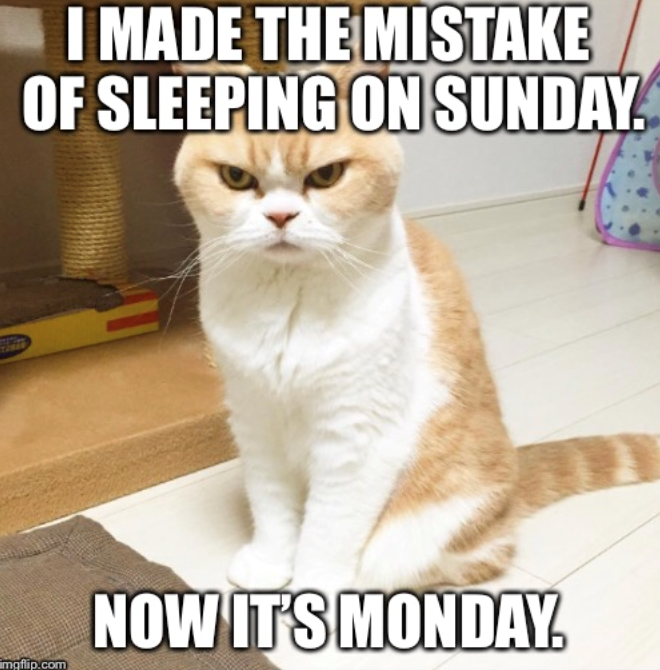 I MADE THE MISTAKE OF SLEEPING ON SUNDAY. mgflip.com NOW IT'S MONDAY.