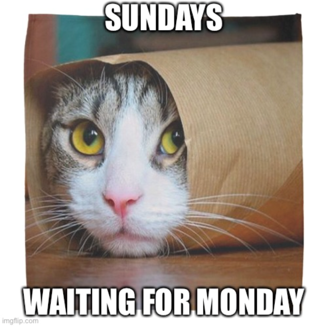 SUNDAYS WAITING FOR MONDAY imgflip.com