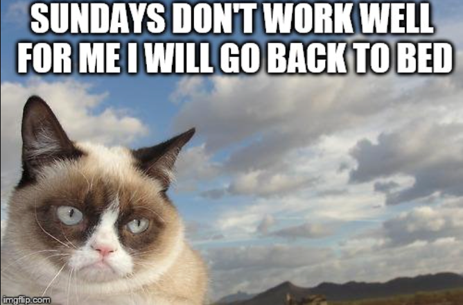 SUNDAYS DON'T WORK WELL FOR ME I WILL GO BACK TO BED imgflip.com