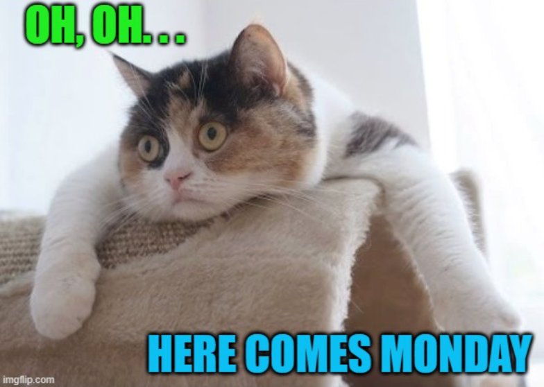 OH, OH... imgflip.com HERE COMES MONDAY