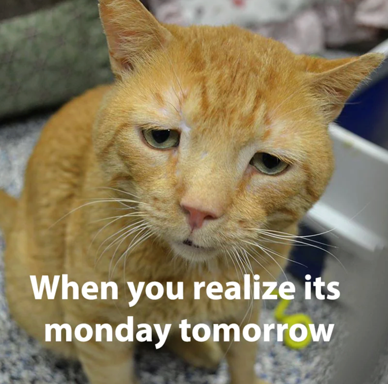 When you realize its monday tomorrow