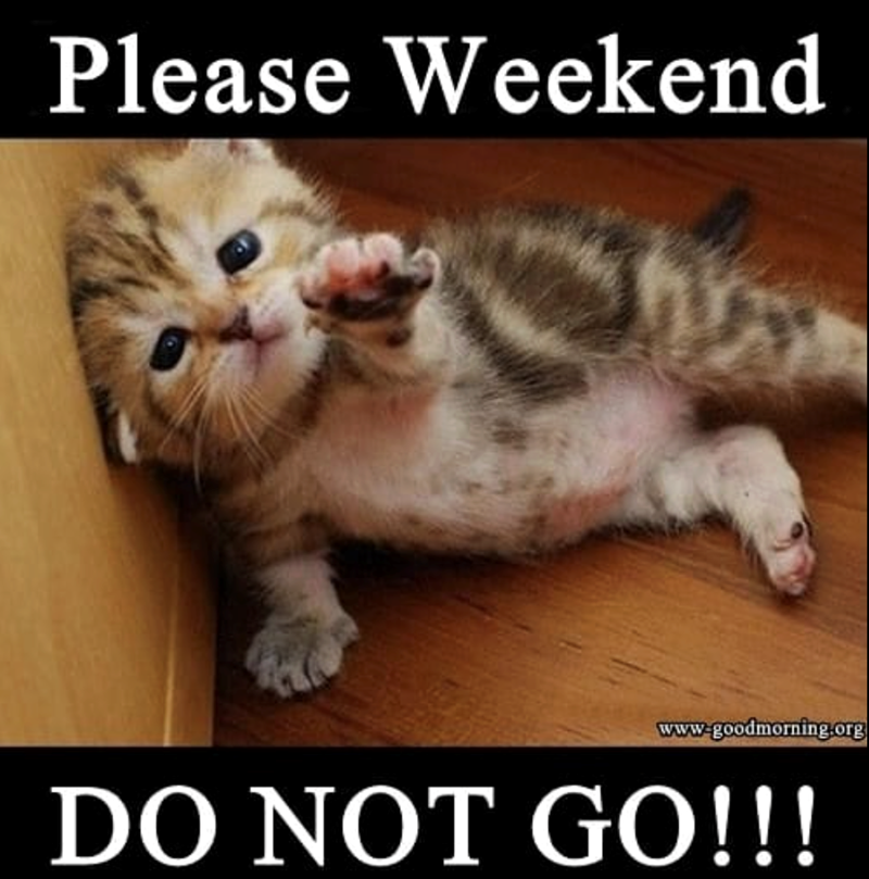 Please Weekend www.goodmorning.org DO NOT GO!!!