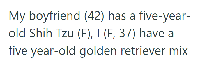 My boyfriend (42) has a five-year- old Shih Tzu (F), I (F, 37) have a five year-old golden retriever mix