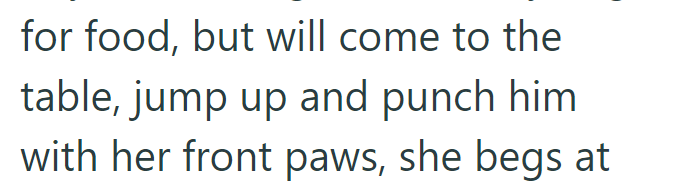 for food, but will come to the table, jump up and punch him with her front paws, she begs at