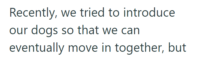 Recently, we tried to introduce our dogs so that we can eventually move in together, but