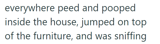 everywhere peed and pooped inside the house, jumped on top of the furniture, and was sniffing