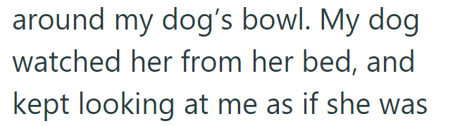 around my dog's bowl. My dog watched her from her bed, and kept looking at me as if she was