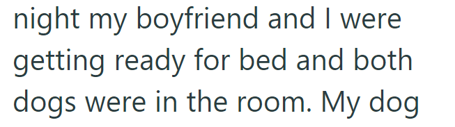 night my boyfriend and I were getting ready for bed and both dogs were in the room. My dog