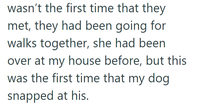 wasn't the first time that they met, they had been going for walks together, she had been over at my house before, but this was the first time that my dog snapped at his.
