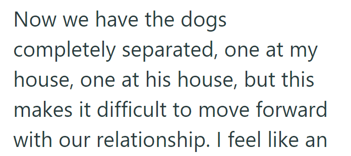 Now we have the dogs completely separated, one at my house, one at his house, but this makes it difficult to move forward with our relationship. I feel like an