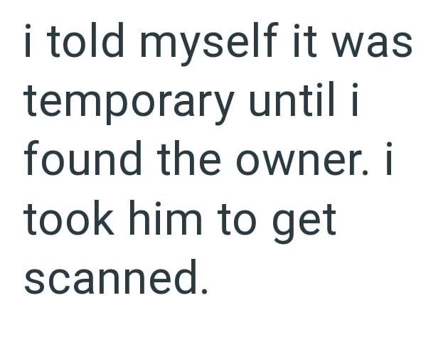 i told myself it was temporary until i found the owner. i took him to get scanned.