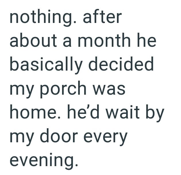 nothing. after about a month he basically decided my porch was home. he'd wait by my door every evening.