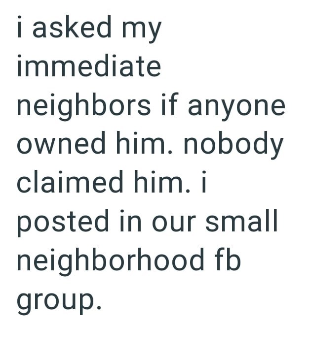 i asked my immediate neighbors if anyone owned him. nobody claimed him. i posted in our small neighborhood fb group.